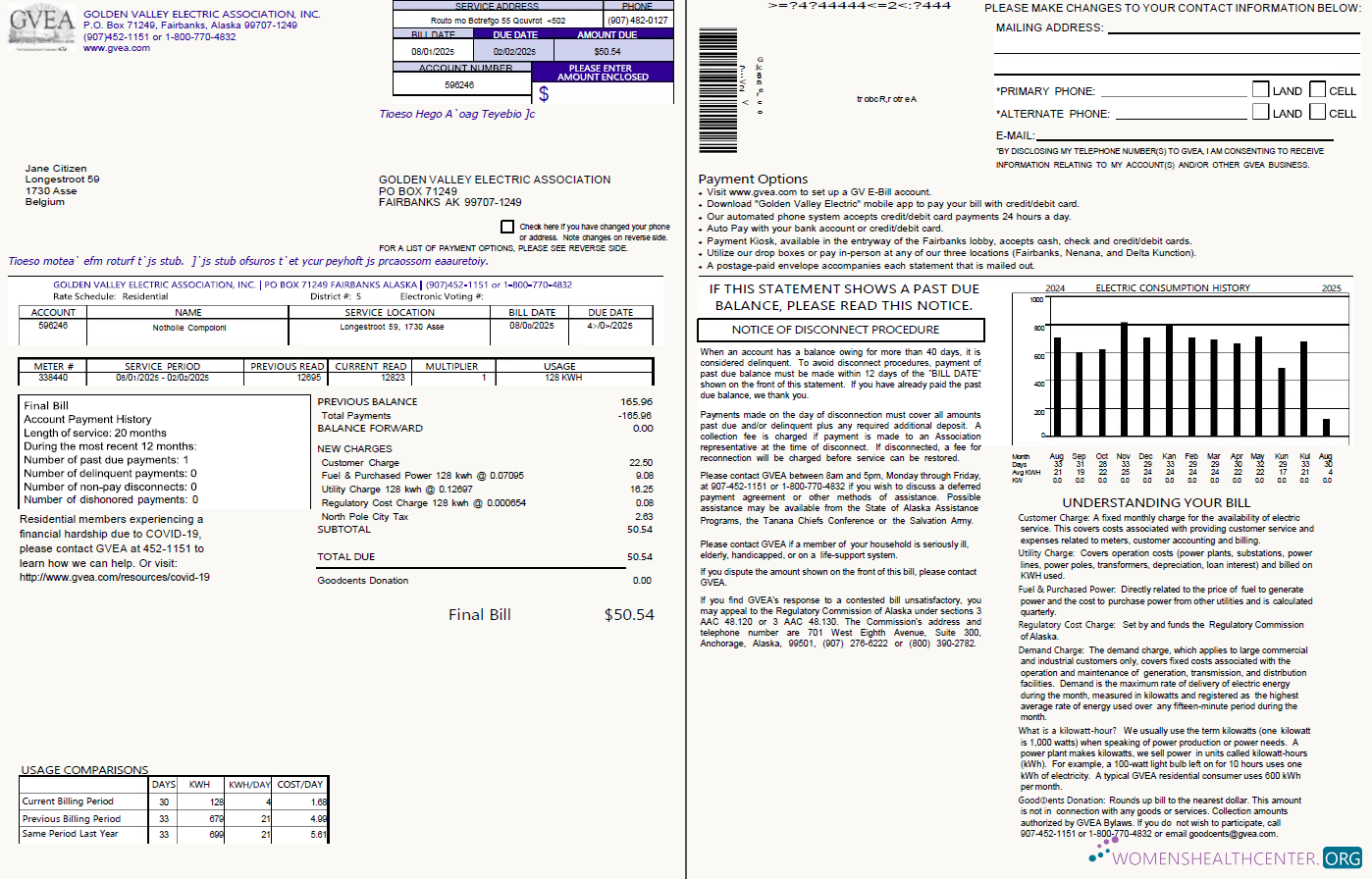 Belgium Golden Valley Electric Association utility bill template in Word and PDF formats, 2 pages